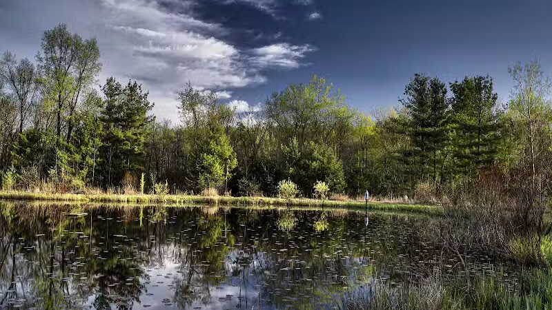Gorman Nature Center - Mansfield, OH