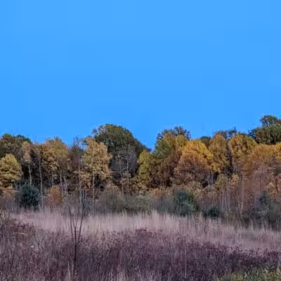 Gorman Nature Center - Mansfield, OH