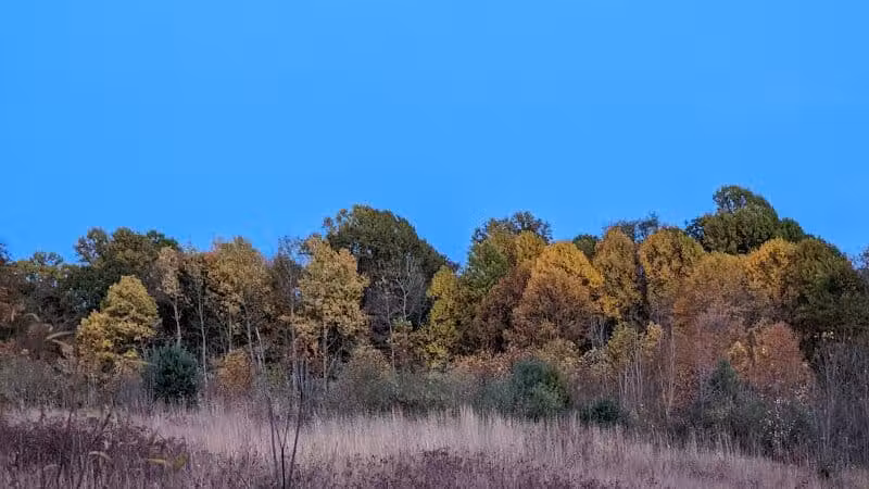 Gorman Nature Center - Mansfield, OH