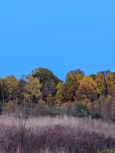 Gorman Nature Center - Mansfield, OH