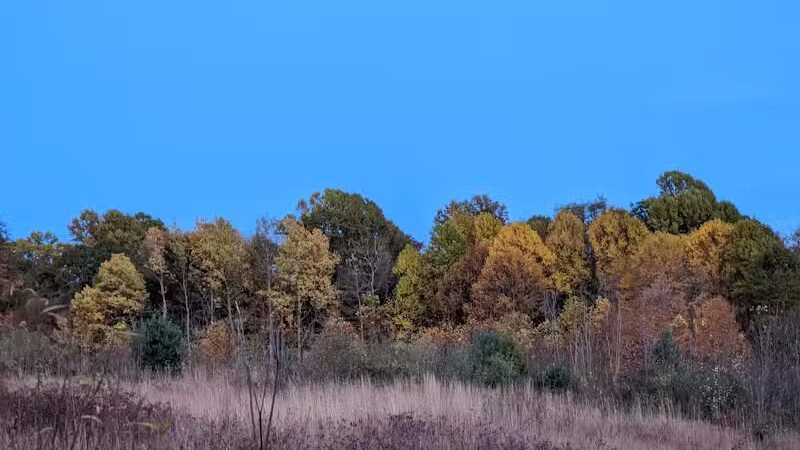 Gorman Nature Center - Mansfield, OH
