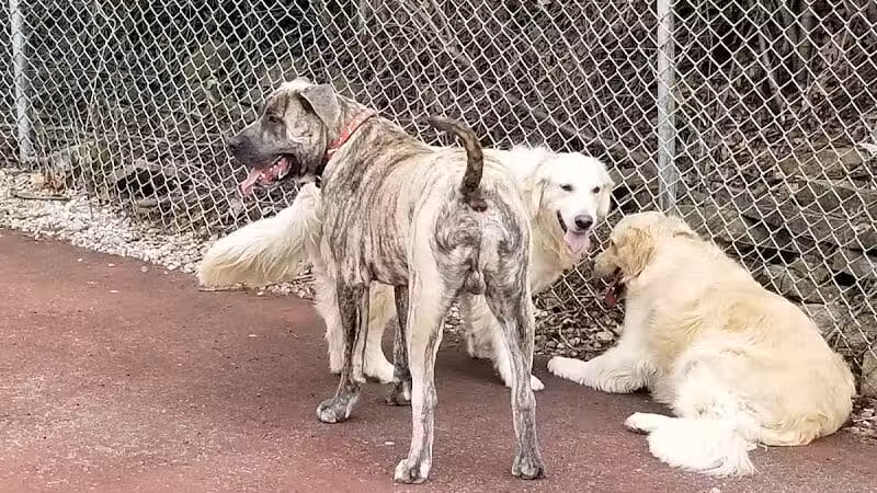 Maple Lake Park - Mansfield, OH