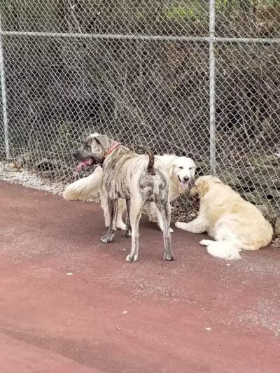 Maple Lake Park - Mansfield, OH