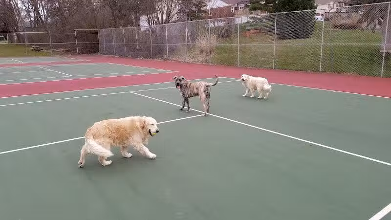 Maple Lake Park - Mansfield, OH