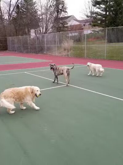 Maple Lake Park - Mansfield, OH