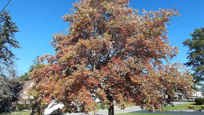 Maple Lake Park - Mansfield, OH