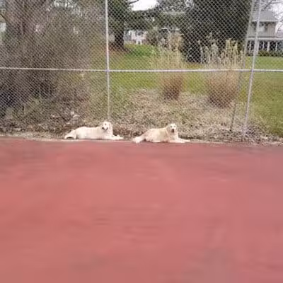 Maple Lake Park - Mansfield, OH