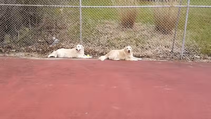 Maple Lake Park - Mansfield, OH