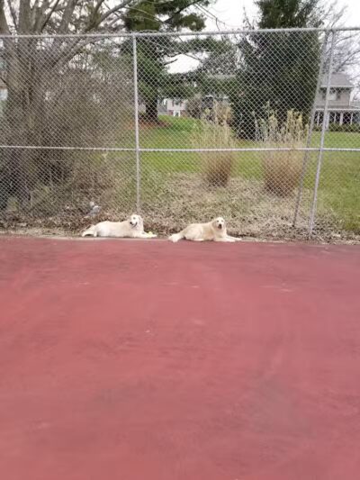 Maple Lake Park - Mansfield, OH