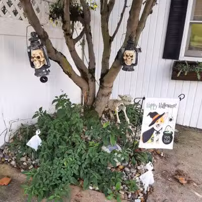 Mohican Kennels - Mansfield, OH