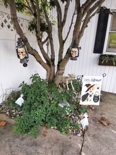 Mohican Kennels - Mansfield, OH