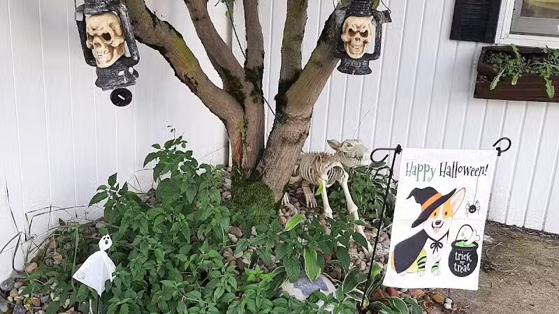 Mohican Kennels - Mansfield, OH