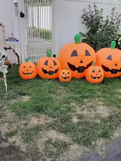 Mohican Kennels - Mansfield, OH