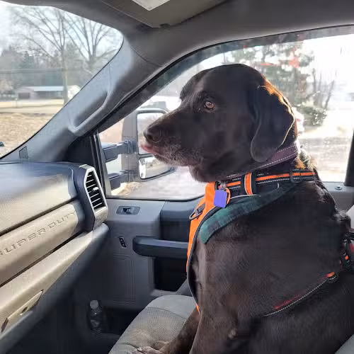 Mohican Kennels - Mansfield, OH