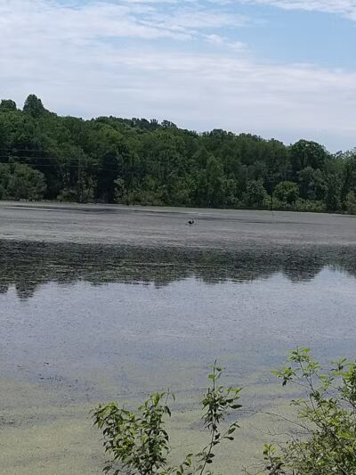 Richland B&O Parking - Mansfield, OH