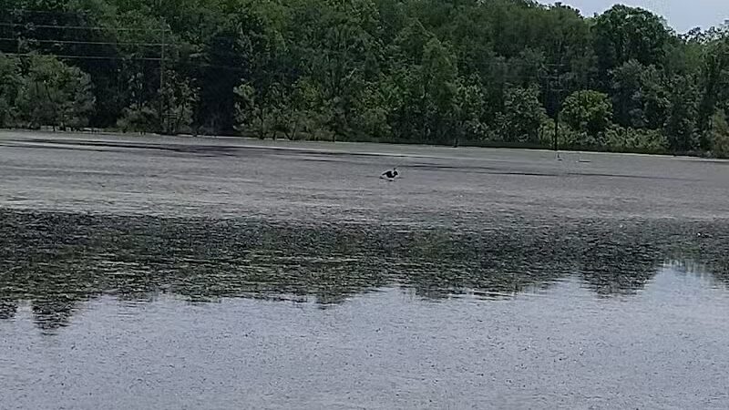 Richland B&O Parking - Mansfield, OH