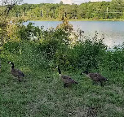 Richland B&O Parking - Mansfield, OH