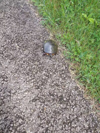 Richland B&O Parking - Mansfield, OH