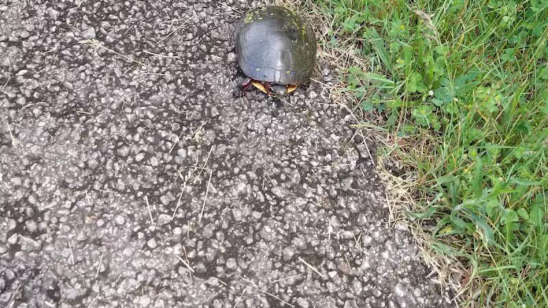 Richland B&O Parking - Mansfield, OH