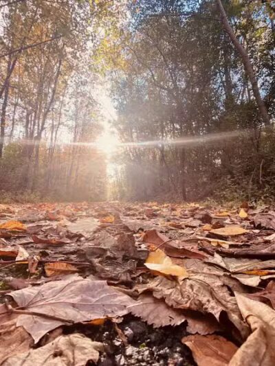 Richland B&O Parking - Mansfield, OH