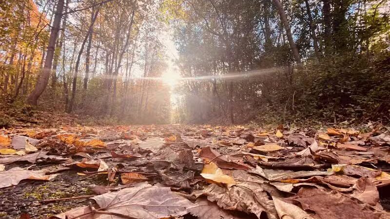Richland B&O Parking - Mansfield, OH