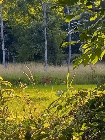 Richland B&O Parking - Mansfield, OH
