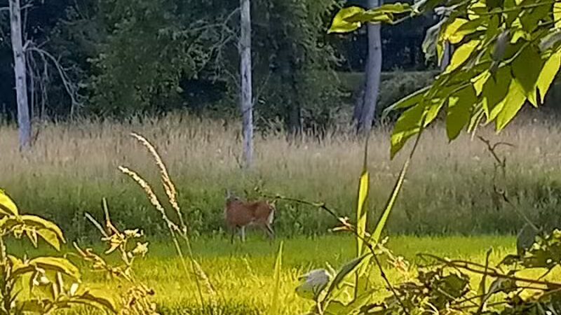 Richland B&O Parking - Mansfield, OH