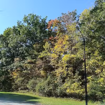 South Park - Mansfield, OH