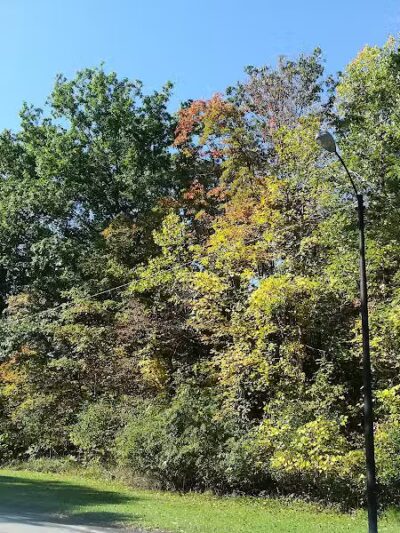 South Park - Mansfield, OH