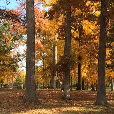 South Park - Mansfield, OH