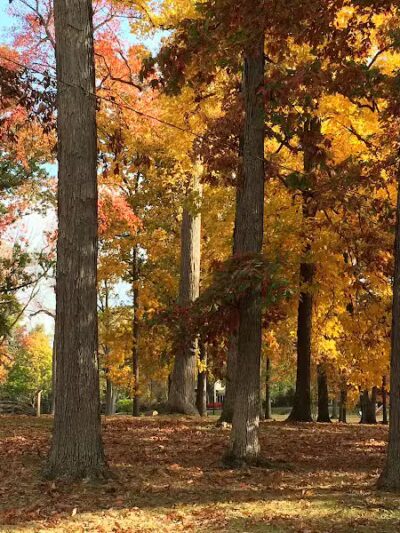 South Park - Mansfield, OH