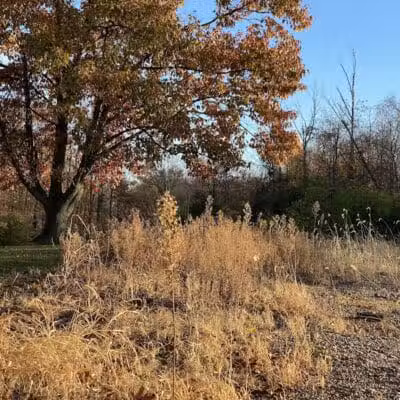 Sterkel Park - Mansfield, OH