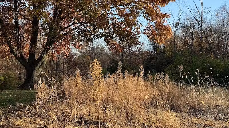 Sterkel Park - Mansfield, OH