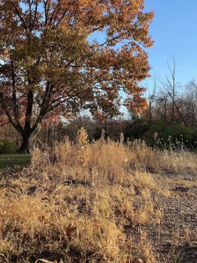 Sterkel Park - Mansfield, OH