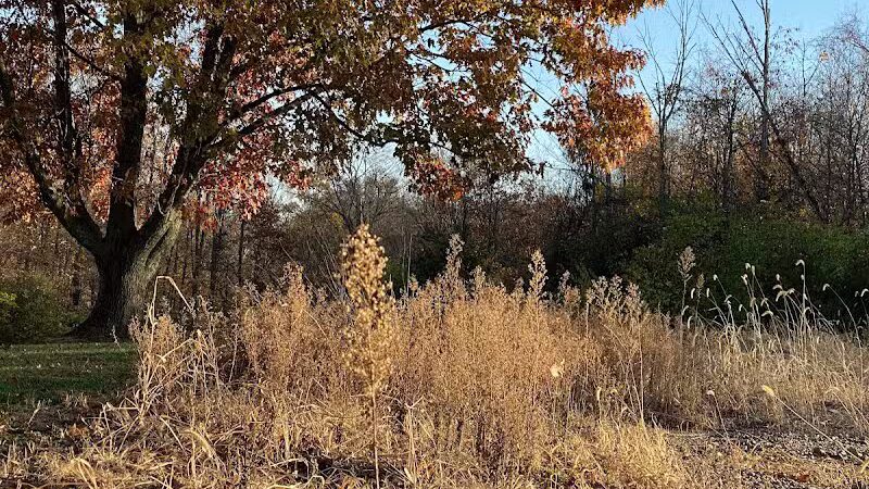 Sterkel Park - Mansfield, OH
