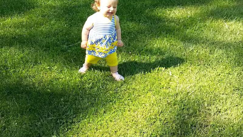 Sterkel Park - Mansfield, OH