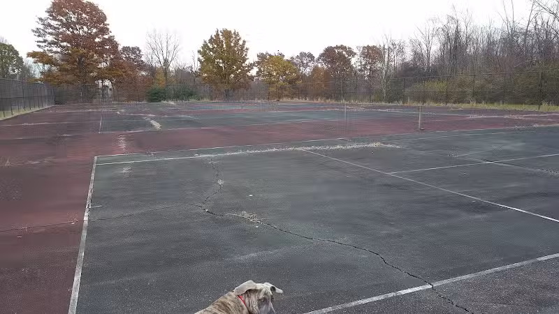 Sterkel Park - Mansfield, OH