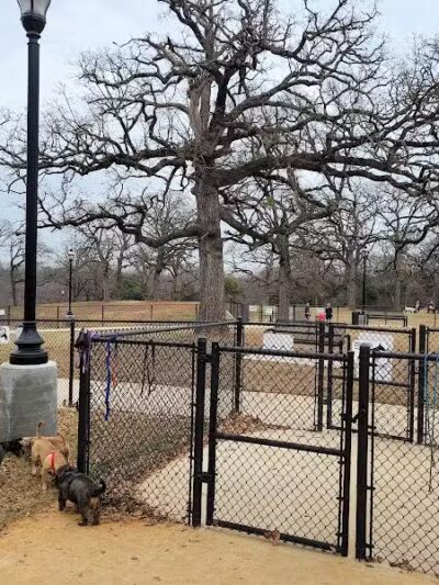 Mans Best Field Dog Park - Mansfield, TX
