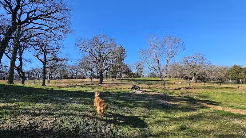 Mans Best Field Dog Park - Mansfield, TX