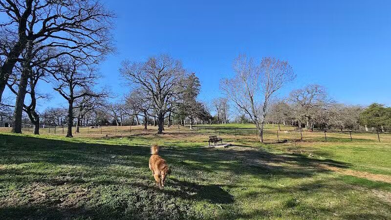 Mans Best Field Dog Park - Mansfield, TX