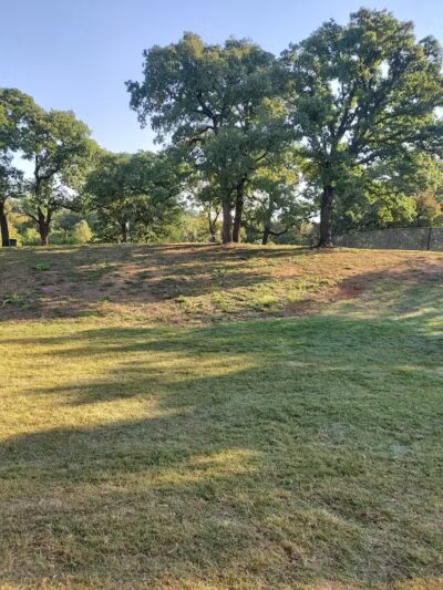 Mans Best Field Dog Park - Mansfield, TX