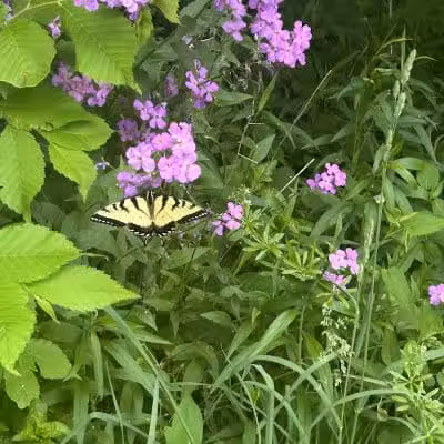 Headwaters Trail - Mantua, OH