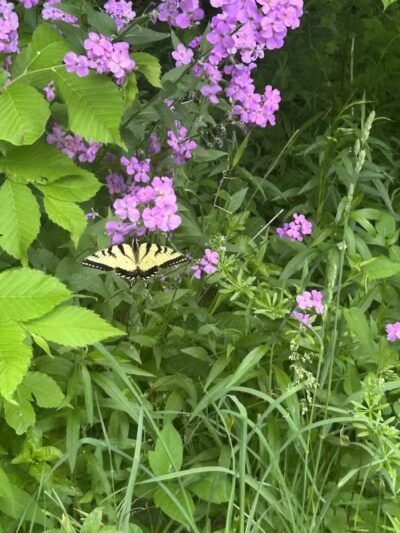 Headwaters Trail - Mantua, OH