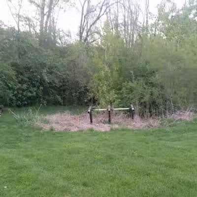 Kellogg Park-Maplewood membership only dog park - Maplewood, MO