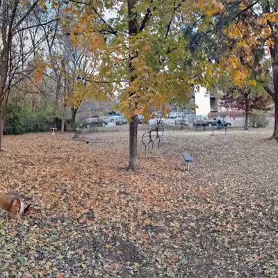 Kellogg Park-Maplewood membership only dog park - Maplewood, MO