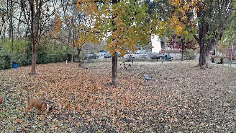 Kellogg Park-Maplewood membership only dog park - Maplewood, MO