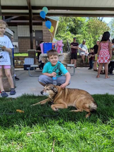 Kellogg Park-Maplewood membership only dog park - Maplewood, MO