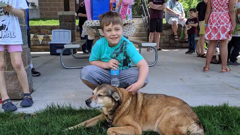 Kellogg Park-Maplewood membership only dog park - Maplewood, MO