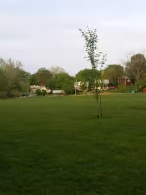 Kellogg Park-Maplewood membership only dog park - Maplewood, MO