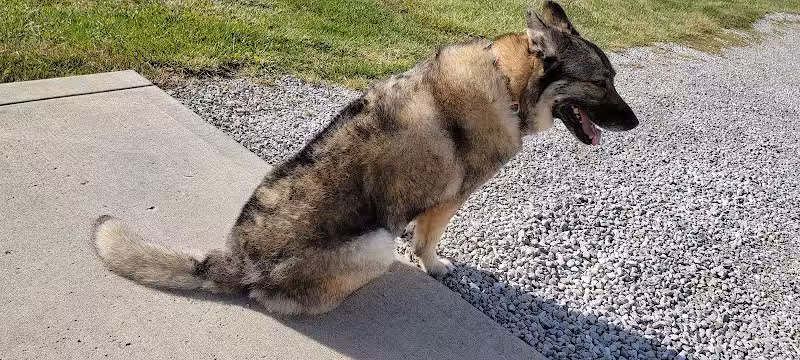 Premier Boarding Kennel - Marengo, OH